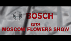 Bosch и Португальский Стрит Арт Художник