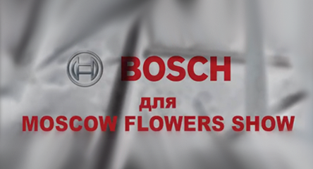 Bosch и Португальский Стрит Арт Художник